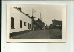 Leernes ( Photo Carte ) Coron Le Lon Des Bois - Fontaine-l'Evêque