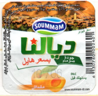 Opercule Cover Yaourt Yogurt " Soummam " DIALNA Vue D'Algérie Abricot Apricot Yoghurt Yoghourt Yahourt Yogourt - Milchdeckel - Kaffeerahmdeckel