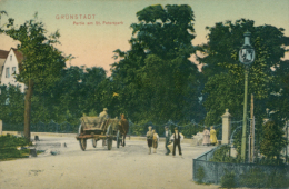 DE GRUNSTADT / Partie Am Der Saint Peterspark / CARTE COULEUR - Gruenstadt