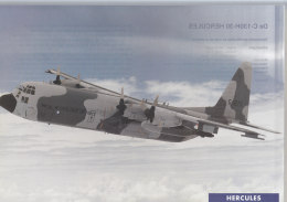 C-130H-30 Hercules, Der Koninklije Luchtmacht, Bild DinA 4 Mit Technischen Daten, 1995 - Niederlande