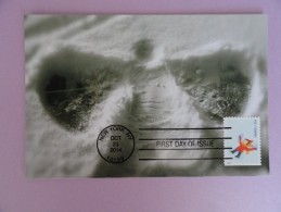 CARTE MAXIMUM CARD PAS DANS LA NEIGE AVEC FLAMME ILLUSTRÉE - 2010-2019