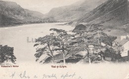 Tal-y-Llyn Lake - Unknown County