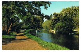 RB 1105 - Postcard - The River Thames Canal Towpath - Maidenhead Berkshire - Sonstige & Ohne Zuordnung