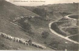 Haute Marne 52 POISSONS Les Mouton S Au Pâturage Berger  Cl - Poissons