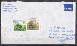 CANADA, 2000, Airmail Cover From Canada To India,  2 Stamps, Fruit, Tree - Covers & Documents