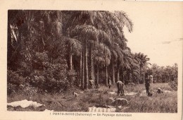 BENIN (DAHOMEY) PORTO-NOVO UN PAYSAN DAHOMEEN - Benin