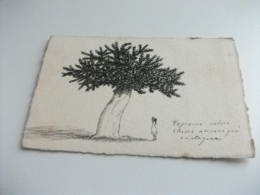 ALBERO CON DONNA DISEGNO FA PIACERE .....CHINA ANCORA QUI CASTAGNA - Arbres