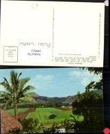 399012,Fidschi Fiji Penang Valley Landschaft Palme - Other & Unclassified