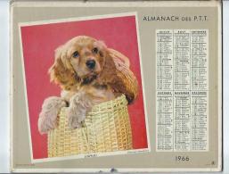 Calendrier Almanach Des P.T.T De 1966 Photos Pose D'un Châton Et  Surprise D'un Chiot Cocker - Incomplet Les Cartes - Grand Format : 1961-70