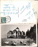 440593,Chateau De Chillon B. Veytaux Schloss Schwäne Kt Waadt - Veytaux