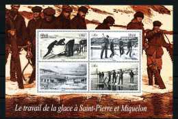 SPM MIQUELON  2008 Bloc  N° 13 ** Neuf = MNH Superbe Le Travail De La Glace - Blocks & Sheetlets