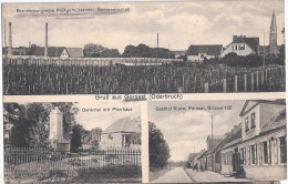 Gruß Aus GORGAST Oderbruch Denkmal Gasthof Ripke Frühgemüsezucht BB Bahnpost 10.7.1927 - Wriezen