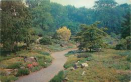 The NEW YORK BOTANICAL GARDEN - Thompson Memorial Rock Garden - Bronx Park - Parken & Tuinen