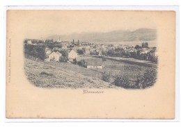 CH 8708 MÄNNEDORF ZH, Ortsansicht Mit Zürichsee, Ca. 1905, Ungeteilte Rückseite - Männedorf