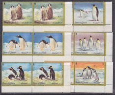 Umm-al-Qiwain 1972 Antarctica Penguins 6v  Pair  ** Mnh (31254) - Sonstige & Ohne Zuordnung