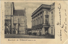 TIENEN - Souvenir De Tirlemont - Hôtel De Ville -ed. Nels - Tienen