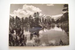 Lago Saoseo Con Vista Sul Piz Palü  POSCHIAVO    GR  Switzerland  SVIZZERA POSTCARD USED STAMPS REMOVED - Poschiavo