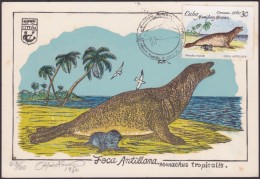 TMA-71 CUBA 1980 FDC MAXIM CARD ENTOLOMOLOGIA. FOCA. FISH PECES. ONLY 100. GRABADO ORIGINAL DE OTTON - Maximumkarten