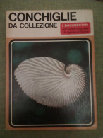 Conchiglie Da Collezione - Sergio Angeletti - I Documentari 17 - 1968 - Medecine, Biology, Chemistry