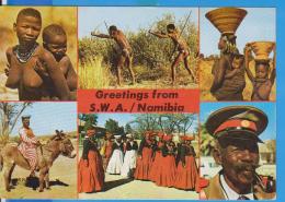 POSTCARD NAMIBIA GREETINGS FROM S.W.A. UNUSED - Namibia