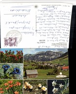 482188,Oberiberg Totale Enzian Edelweiß Mehrbildkarte Kt Schwyz - Oberiberg