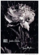 1  Carnet  Publicitaire 6 Pages  JARDIN D´ETOILES  Thierry MUGLER   2005 - Cataloghi