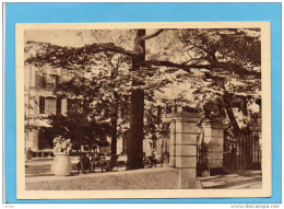 NANS LES PINS-CHATEAUNEUF HOTEL -la Terrasse Animée A Voyagé En 1956+ -édition Le Marigny - Nans-les-Pins