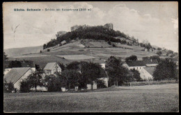 5557 - Alte Ansichtskarte - Schöna Mit Kaiserkrone - Gel 1931 - Trau & Schwab - Schoena