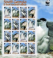 2008 South Georgia & South Sandwich Islands Chinstrap Penguin Bird Chick WWF Full Sheet Of 16 MNH - Südgeorgien