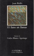 El Llano En Llamas  - Miguel Cervantes - Letras Hispanicas N°218 - Other & Unclassified