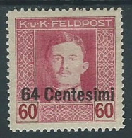 1918 OCCUPAZIONE AUSTRIACA EFFIGIE 64 CENT SU 60 H MH * - P1-5 - Occ. Autrichienne