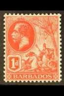 1915 1d Scarlet, SG 172, Never Hinged Mint. For More Images, Please Visit... - Barbados (...-1966)