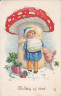 #BV2283   MUSHROOMS, KID, PIG, FLOWERS,  POSTCARD. - Paddestoelen