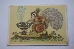 GOURMAND By Golubev  - USSR Postcard 1967 Mushroom Champignon - Paddestoelen