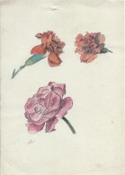 Dessin D´amateur/Plume Et Aquarelle/L RACLET/Non Encadré/Fleurs/Oeillets Et Rose/Vers 1930   GRAV146 - Autres & Non Classés