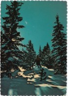 Skiing In Rocky Mountain Beauty, Unused Postcard [18871] - Rocky Mountains