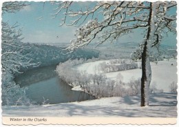 Winter In The Ozarks, Of Southern Missouri And Northern Arkansas, 1981 Used Postcard [18910] - Andere & Zonder Classificatie