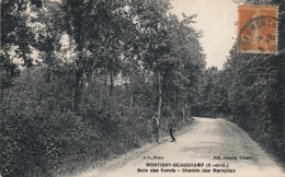 ( CPA 95 )  MONTIGNY-BEAUCHAMPS  /  Bois Des Vernis - Chemin Des Mareyeux - - Beauchamp