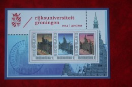 2751-D-52 Postset 400 Jaar Rijksuniversiteit Groningen 2014 POSTFRIS MNH ** NEDERLAND / NIEDERLANDE / NETHERLANDS - Personnalized Stamps