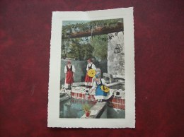 Carte Postale Ancienne De Saint-Laurent-du-Var: Un Moment De Détente Après La Cueillette Des Olives - Saint-Laurent-du-Var