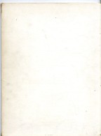 VUZZ  -  PHILIPPE DRUILLET  -  64 PAGES  -  1974 - Druillet