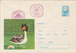 49211- GREAT CRESTED GREBE, BIRDS, COVER STATIONERY, 1973, ROMANIA - Albatros