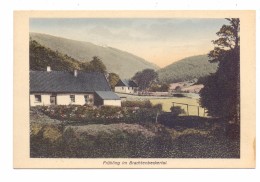 5990 ALTENA - BRACHTENBECK, Brachtenbeckertal - Altena