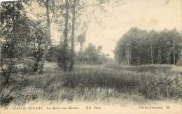 FORET DE SENART     LA MARE AUX BICHES - Sénart