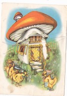 # BV 3124  MUSHROOMS, DUCKS, POST CARD, POSTAL STATIONERY, ROMANIA - Paddestoelen