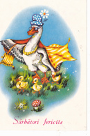 # BV 3127  MUSHROOMS, PLANTS, DUCK,, ANIMALS, POST CARD, POSTAL STATIONERY, ROMANIA - Paddestoelen