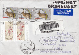 RABBIT, PLUM TREE BLOSSOM, STAMPS ON REGISTERES COVER, 2014, ROMANIA - Brieven En Documenten