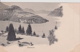 SUISSE SZ SCHWYR Morschach    " Axenstein " Precurseur - Morschach