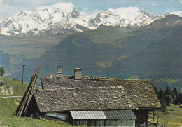 COL DES SAISIES VUE SUR LE MONT BLANC(dil249) - Sonstige & Ohne Zuordnung