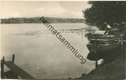 Neuglobsow - Am Dagow-See - Foto-AK 60er Jahre - VEB Bild Und Heimat Reichenbach - Neuglobsow